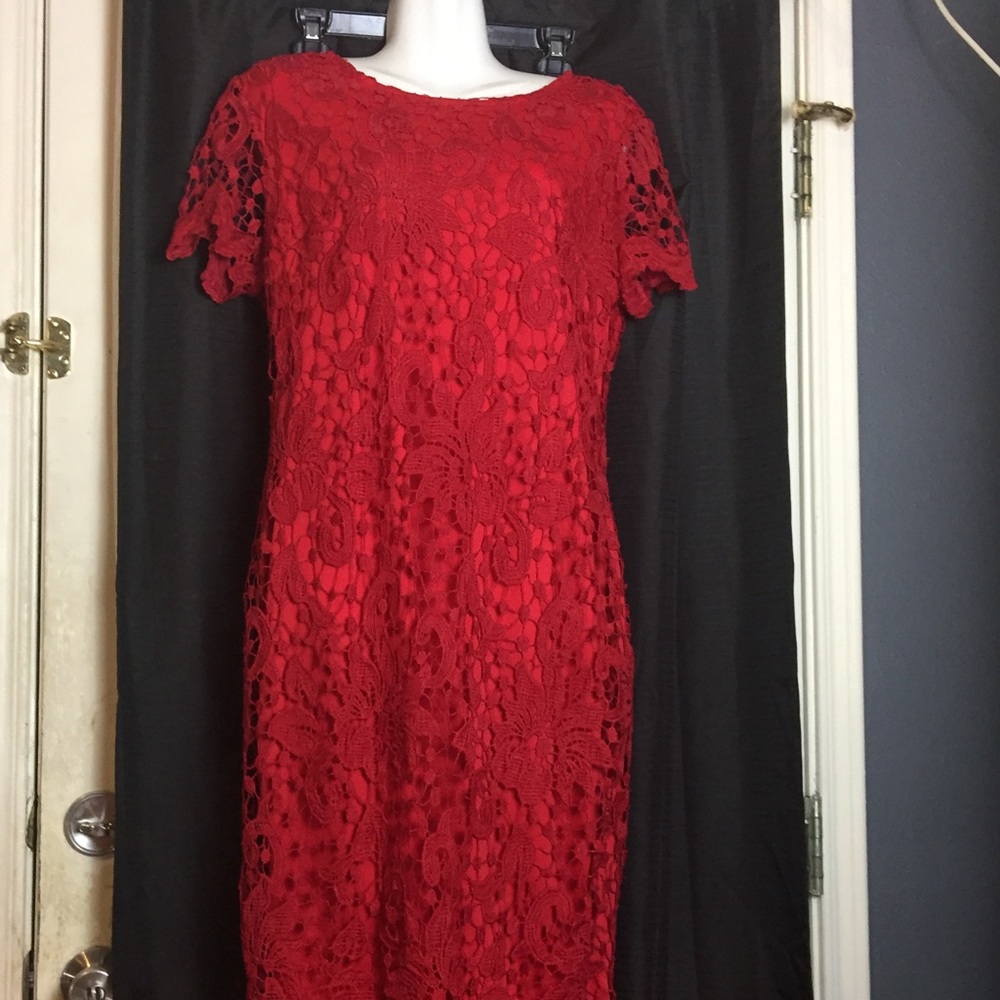 Women’s lace shell dress